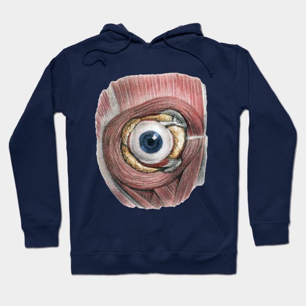 Vintage Human Anatomy Eyeball Hoodie by MasterpieceCafe